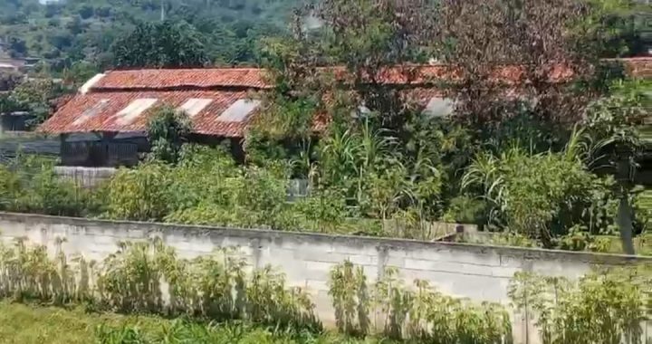 Tolong!! Kotoran Ternak Bebek Cemari Lingkungan Warga Sari Cikawung